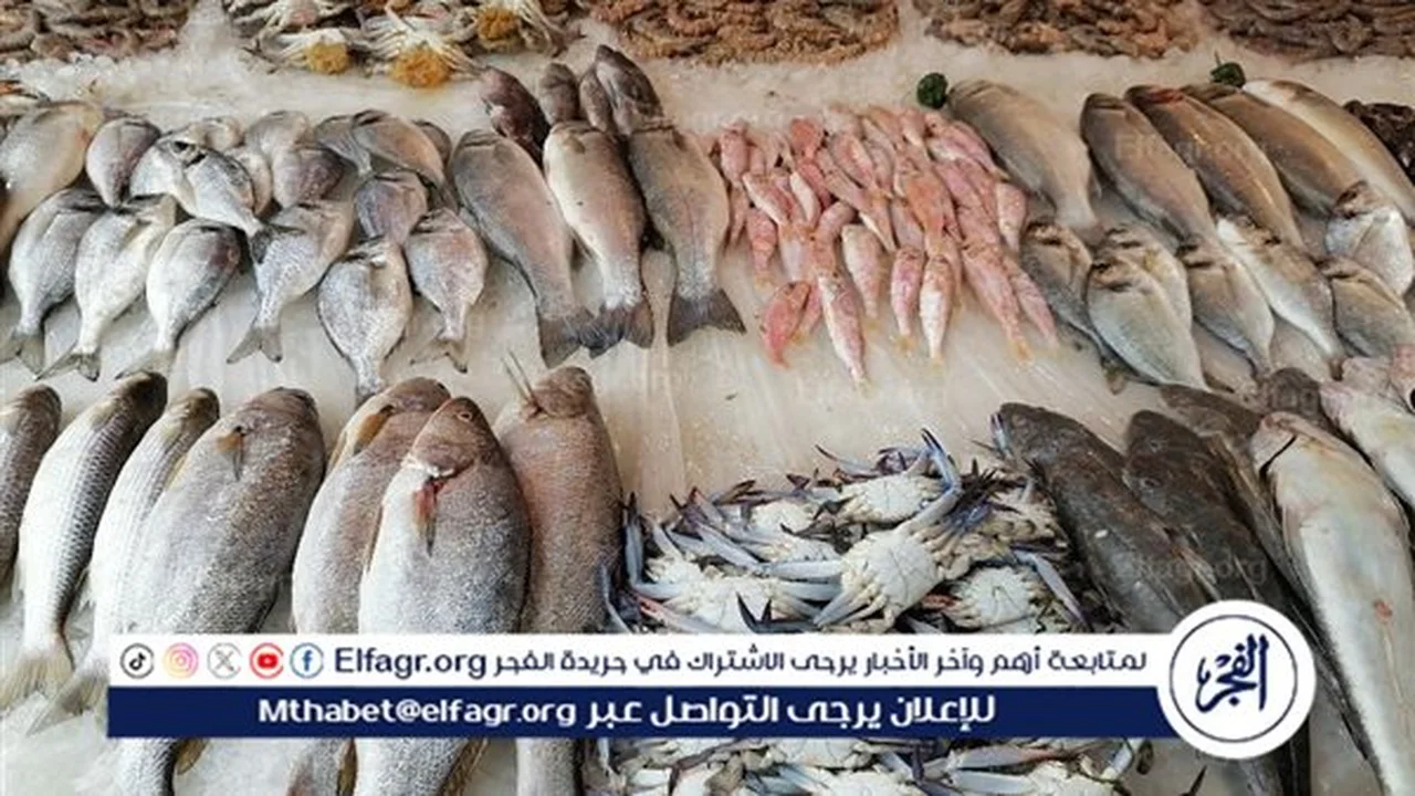 ارتفاع سريع في أسعار الأسماك بأسوان ليوم الخميس 27 نوفمبر 2025